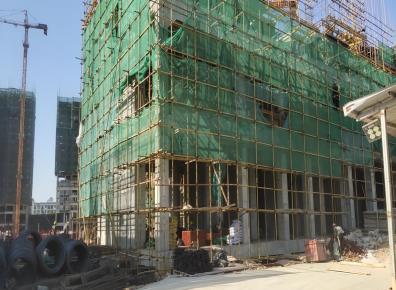 福建神箭,建筑模板木方全面满足客户需求