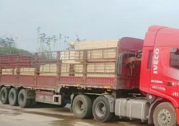 微信图片_20230112085947.jpg 微信图片_20230112085947.jpg