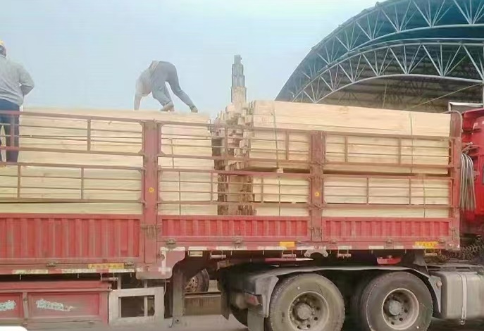 微信图片_20230112085949.jpg 微信图片_20230112085949.jpg