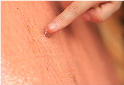 成都王总采购 6000 张木模板 已安排