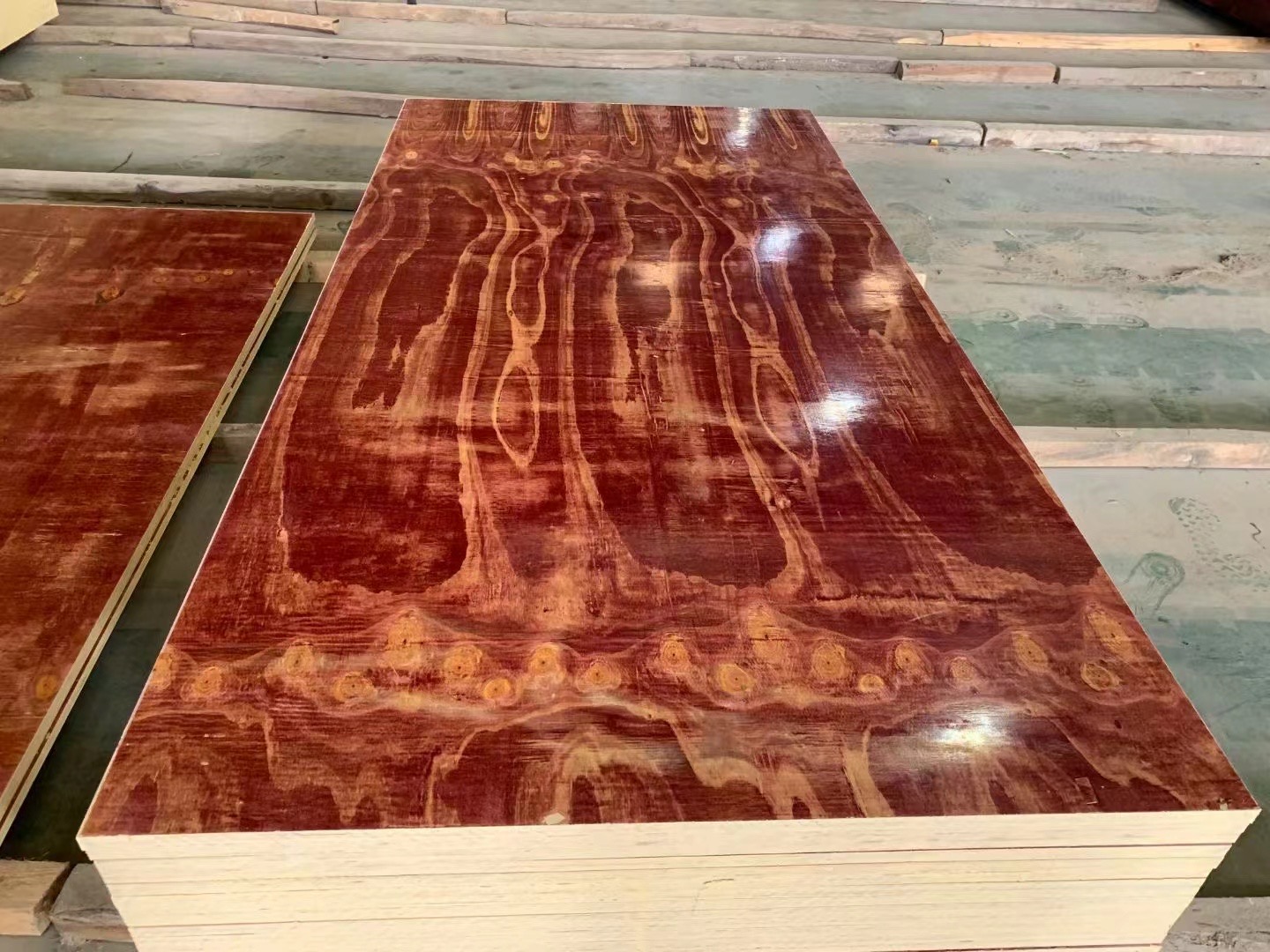 模板1.JPG 模板1.JPG