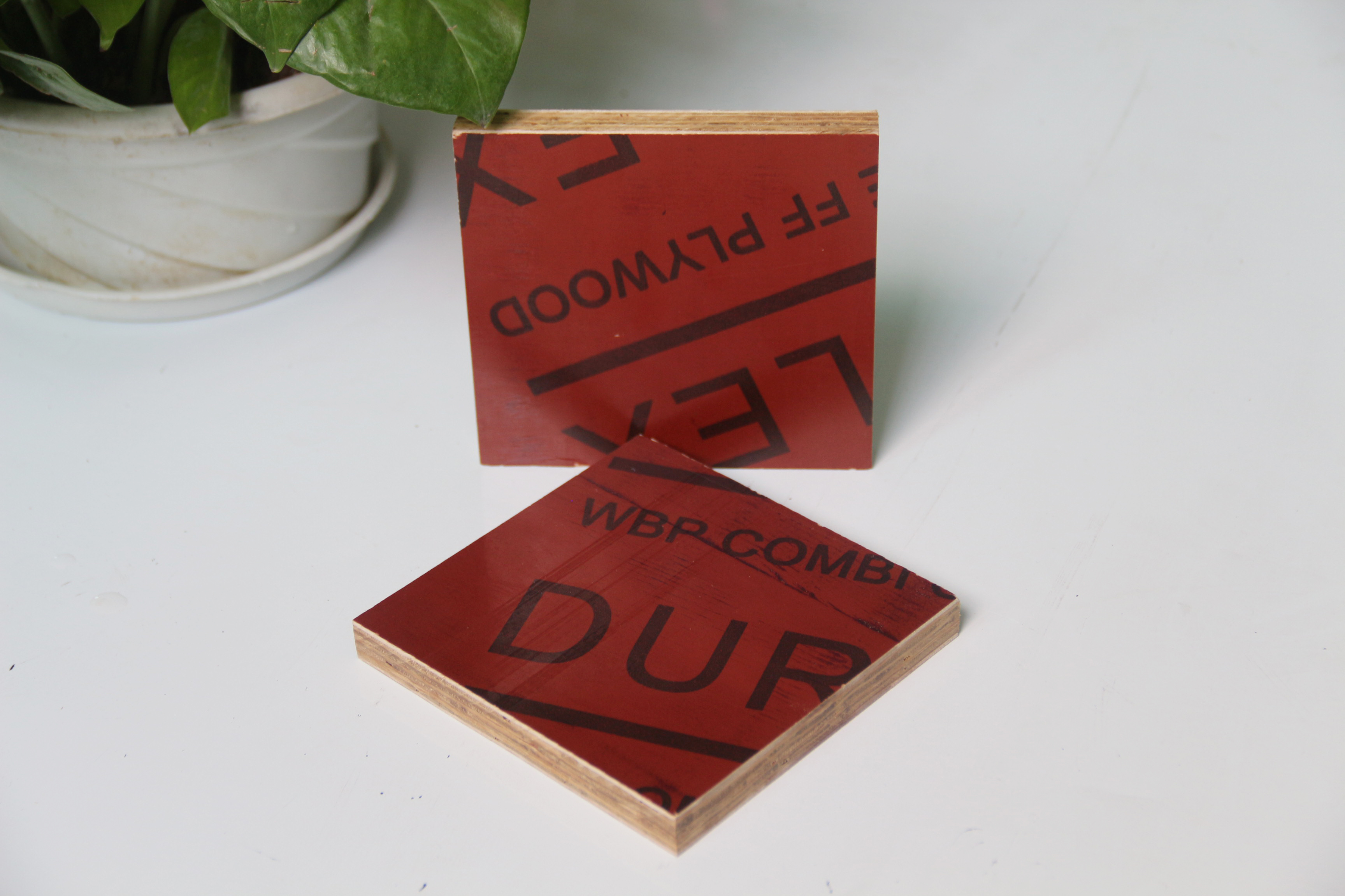 成都尹总采购 2 万张 18 厚桥梁竹胶板